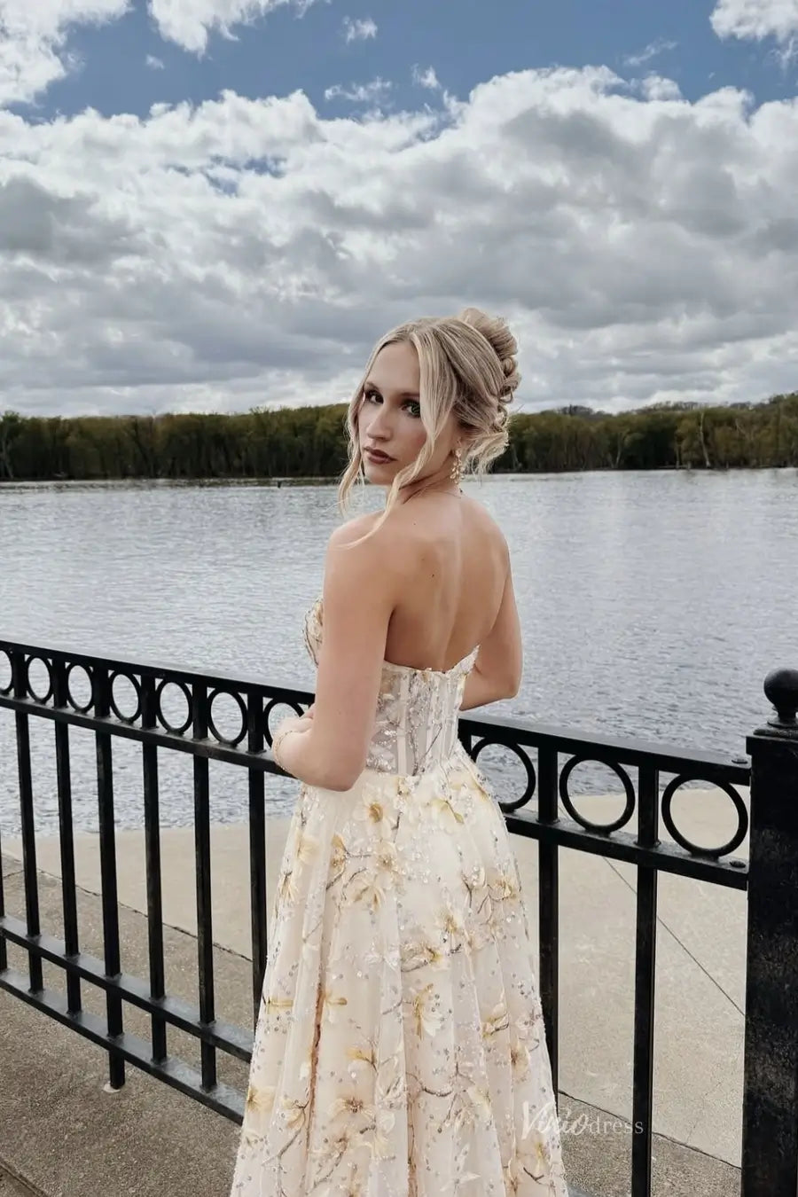 AL001不转-prom dresses 2026-Viniodress-Champagne-Custom Size-