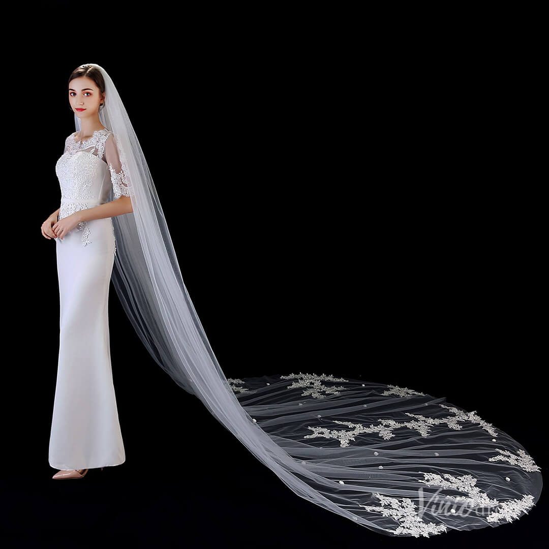 1 Tier Lace Appliqued Cathedral Veil Viniodress TS1912-Bridal Veil 2025 -Viniodress-Ivory-