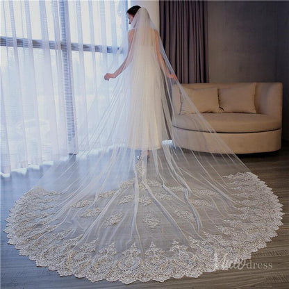 1 Tier Lace Cathedral Veil Viniodress TS17156-Bridal Veil 2025 -Viniodress-Ivory-