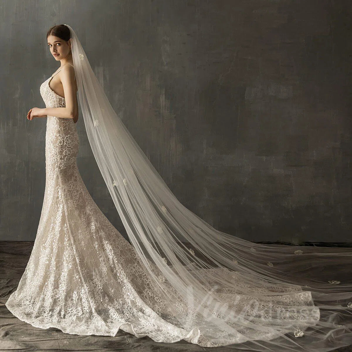 Elegant Floral Cathedral Veil For Bride AC1015-Bridal Veil 2025 -Viniodress-Ivory-