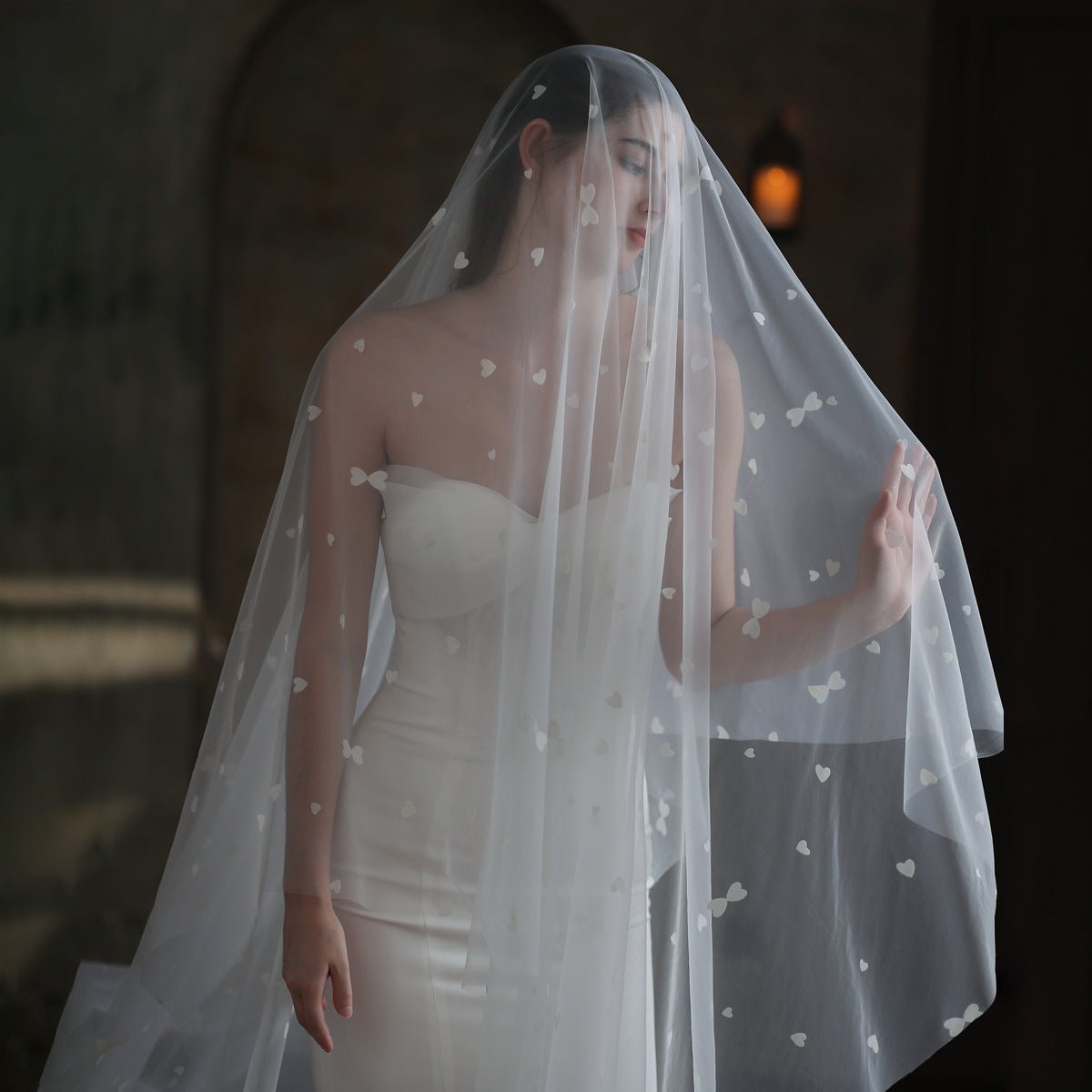 Heart Printed Tulle Bridal Veil Viniodress V857-Bridal Veil 2025 -Viniodress-Ivory-300cm-