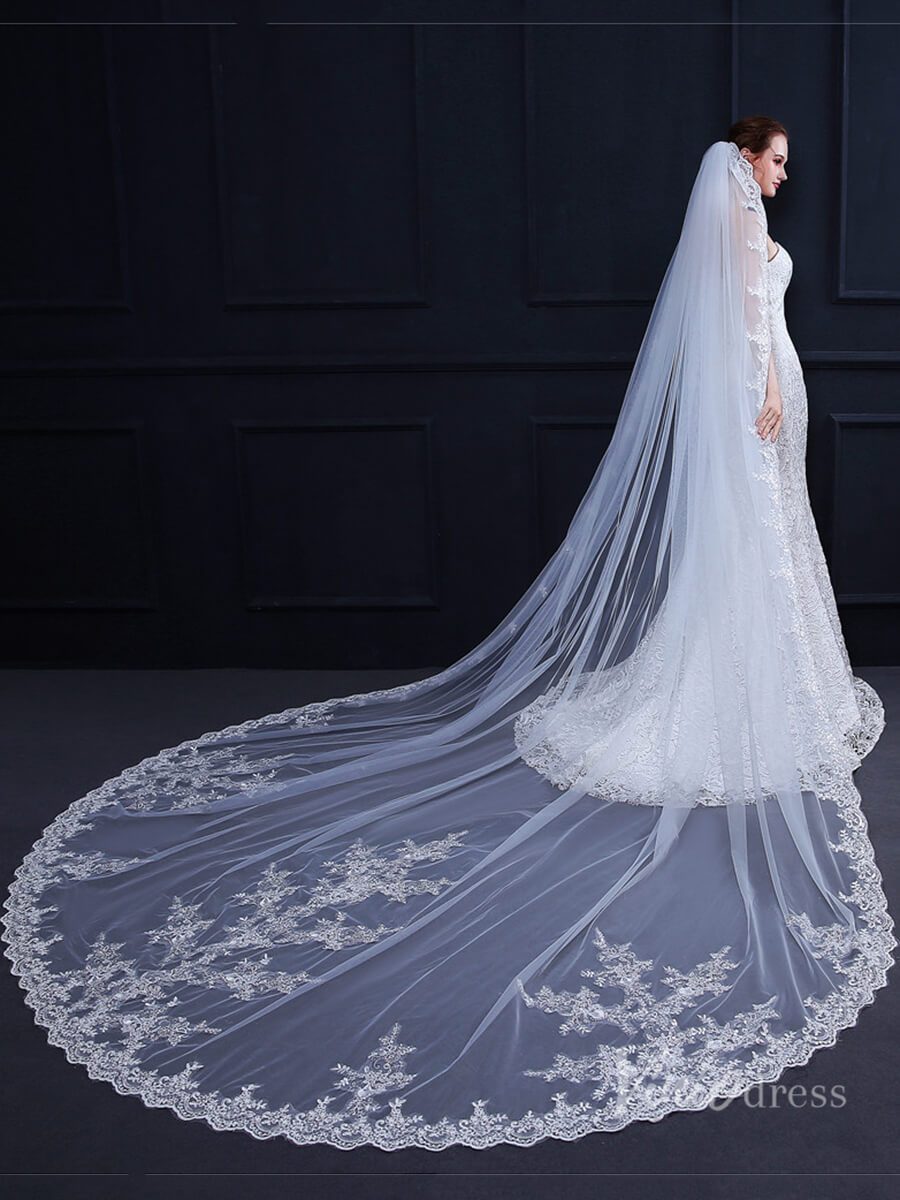 Cathedral Length Lace Mantilla Veil Viniodress TS18009-Bridal Veil 2025 -Viniodress-Ivory-