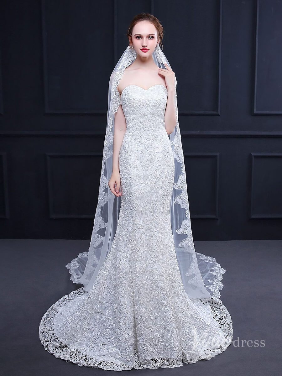 Cathedral Length Lace Mantilla Veil Viniodress TS18013-Bridal Veil 2025 -Viniodress-Ivory-