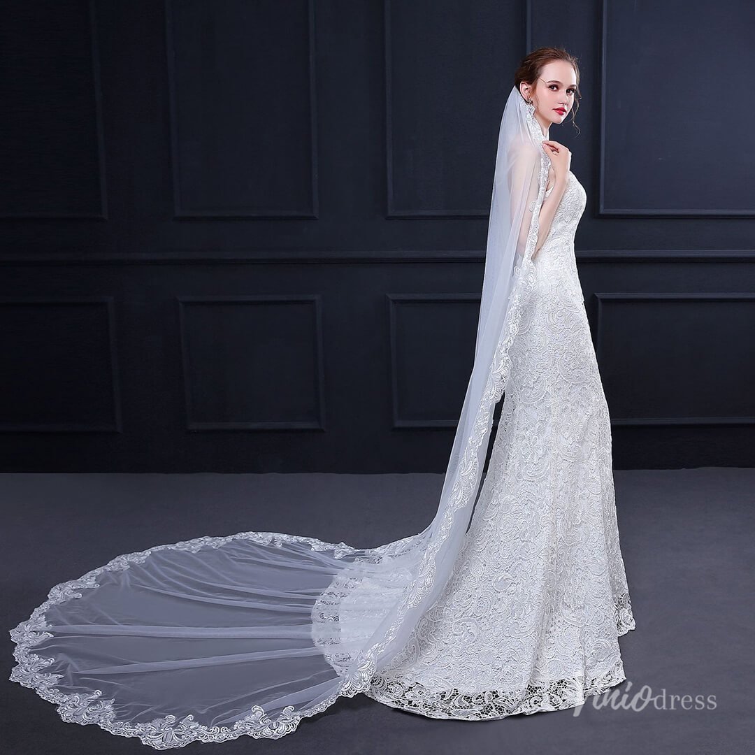 Cathedral Length Lace Mantilla Veil Viniodress TS18013-Bridal Veil 2025 -Viniodress-Ivory-