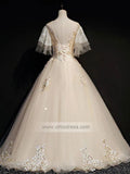 Prom Dress 2025 Champagne Lace Sweet 15 Dresses with Sleeves FD1458-unique prom dresses-Champagne-Custom Size-Viniodress