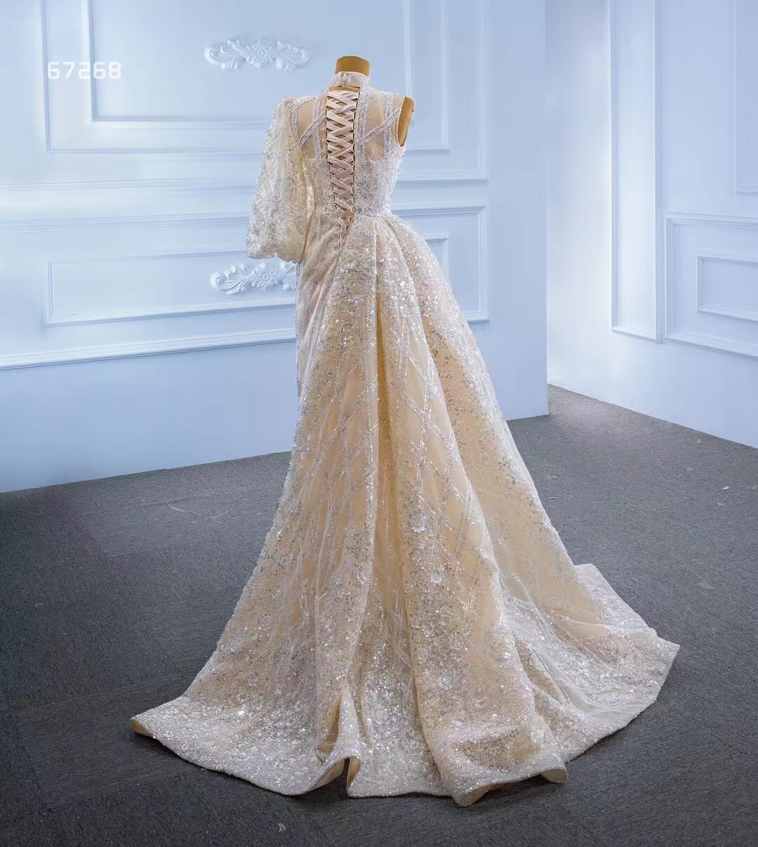 Champagne Overskirt Wedding Dresses with Sleeves VW67268-wedding dresses 2025 -Viniodress-As Picture-Custom Size-