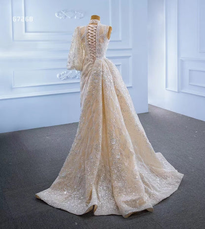 Champagne Overskirt Wedding Dresses with Sleeves VW67268-wedding dresses 2025 -Viniodress-As Picture-Custom Size-