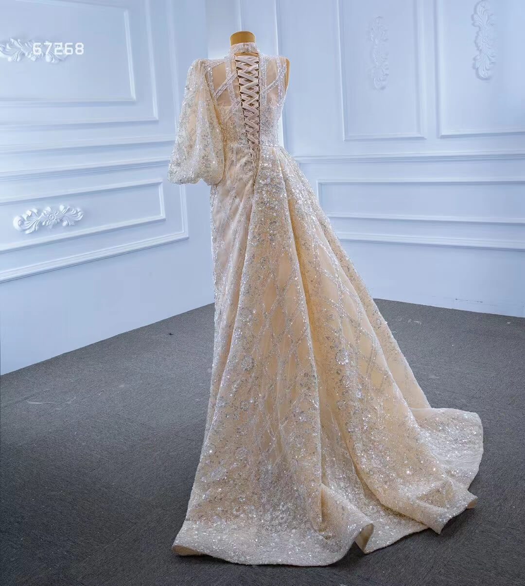 Champagne Overskirt Wedding Dresses with Sleeves VW67268-wedding dresses 2025 -Viniodress-As Picture-Custom Size-