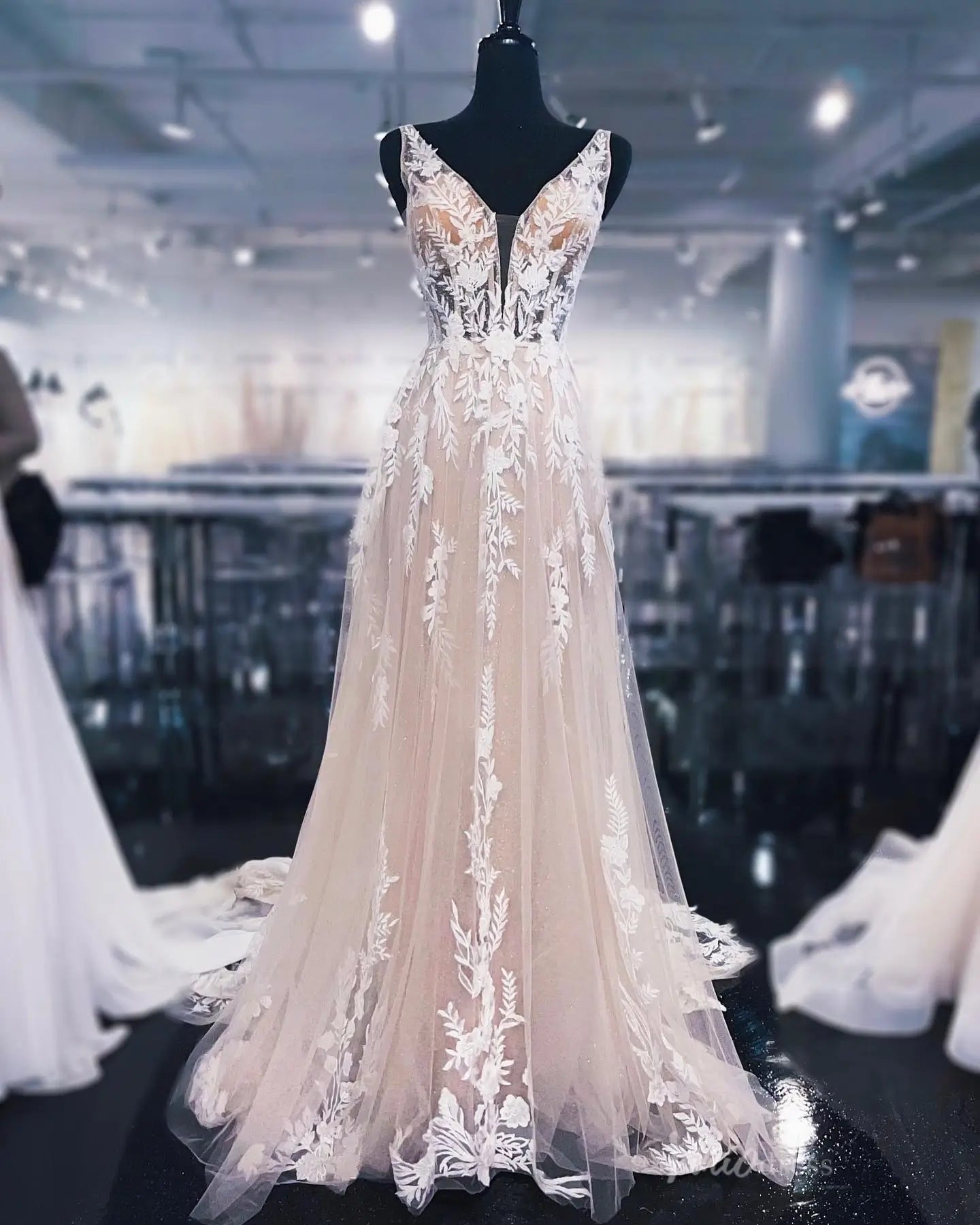 Ethereal Blush Floral Appliqué A-Line Wedding Dress with Deep V-Neck & Sheer Chapel Train – LA143-wedding dresses 2025 -Viniodress-Blush-Custom Size-