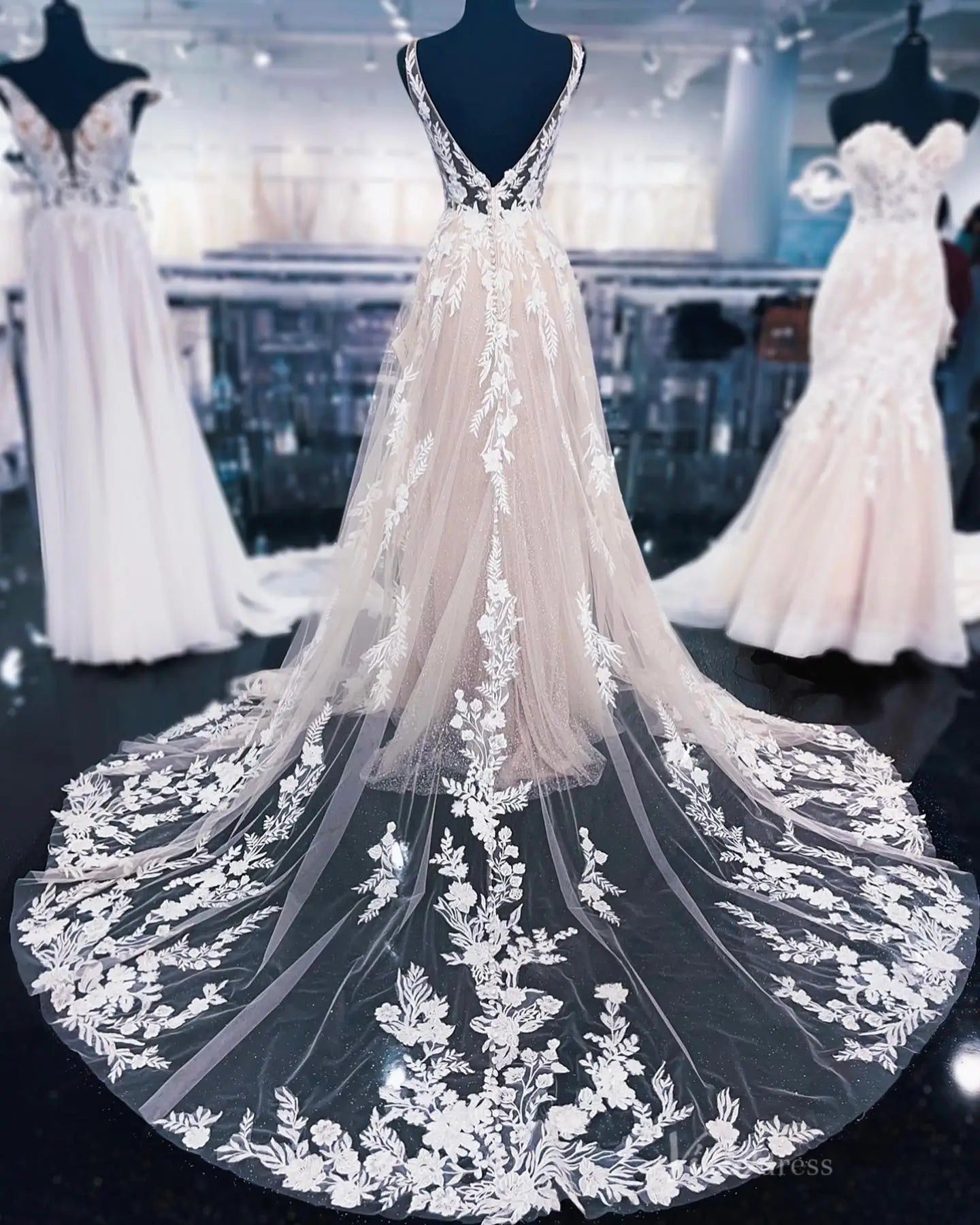 Ethereal Blush Floral Appliqué A-Line Wedding Dress with Deep V-Neck & Sheer Chapel Train – LA143-wedding dresses 2025 -Viniodress-Blush-Custom Size-