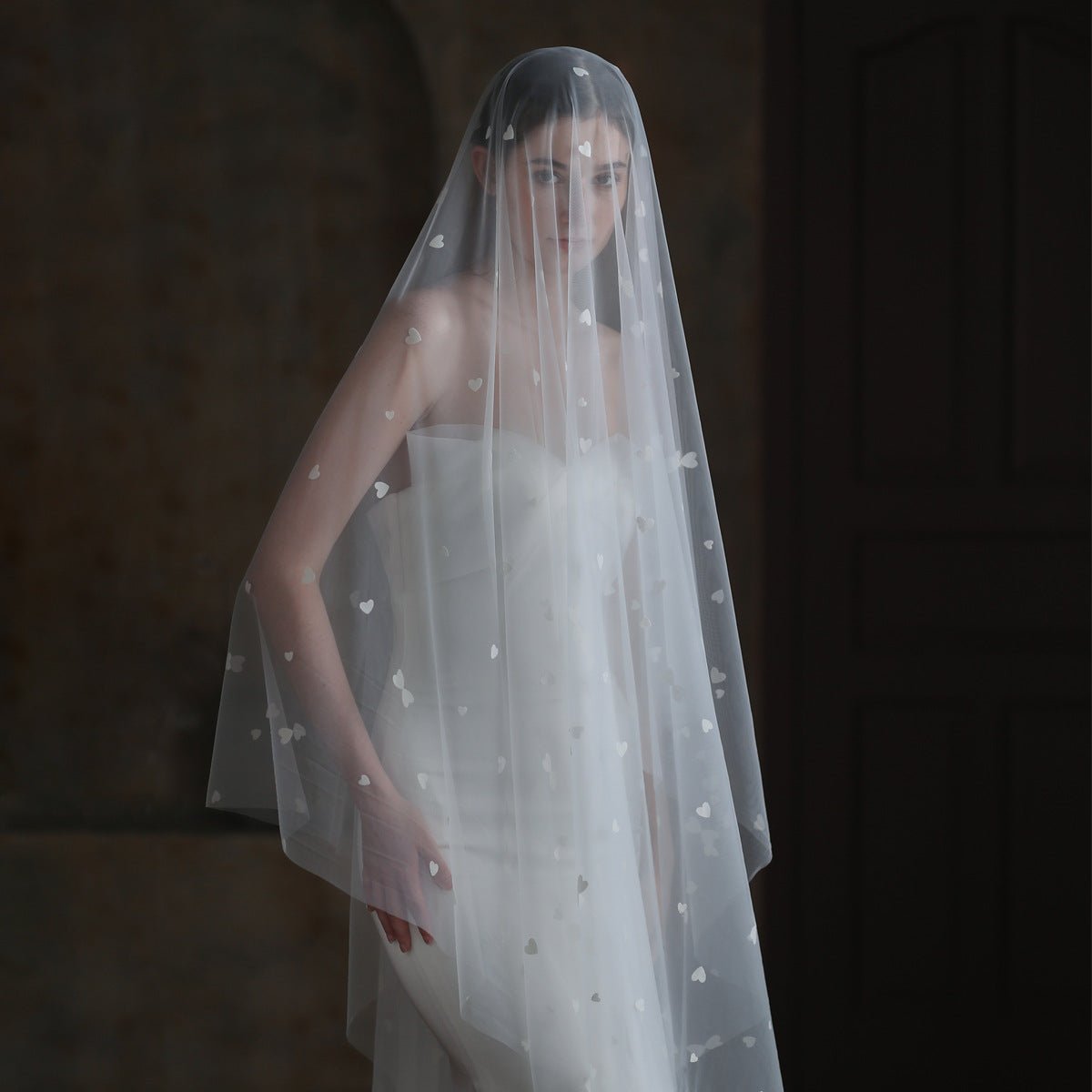 Heart Printed Tulle Bridal Veil Viniodress V857-Bridal Veil 2025 -Viniodress-Ivory-300cm-