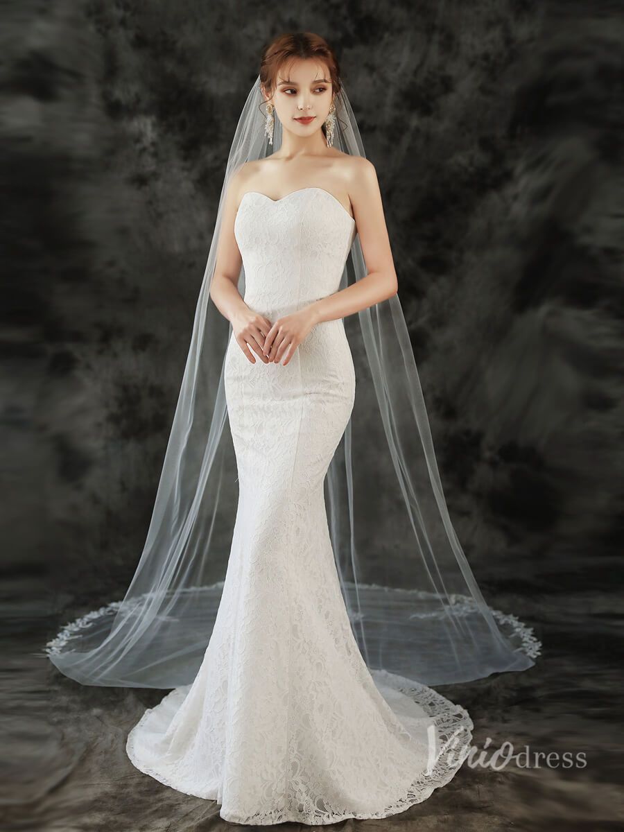 Lace Appliqued 1 Tier Cathedral Veil Viniodress TS1911-Bridal Veil 2025 -Viniodress-Ivory-