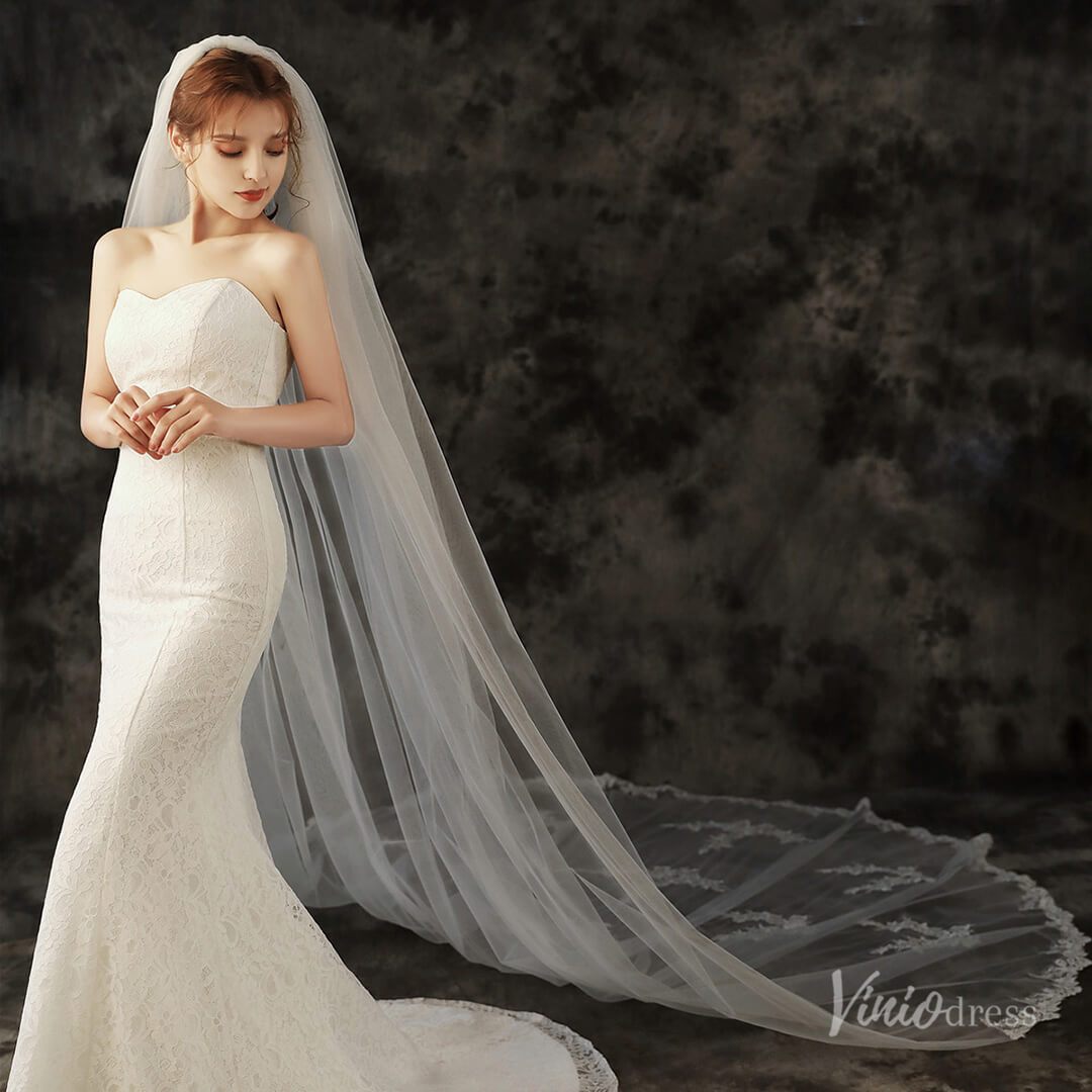 Lace Appliqued Cathedral Veil Viniodress TS1907-Bridal Veil 2025 -Viniodress-Ivory-