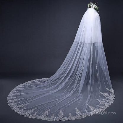 Lace Appliqued Cathedral Veil with Blusher Viniodress TS17120-Bridal Veil 2025 -Viniodress-Ivory-