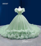 Sage Green Ball Gown Wedding Dresses Tulle Ruffle Sweet 16 Dress 222197-Quinceanera Dresses-Viniodress-Sage-Custom Size-Viniodress