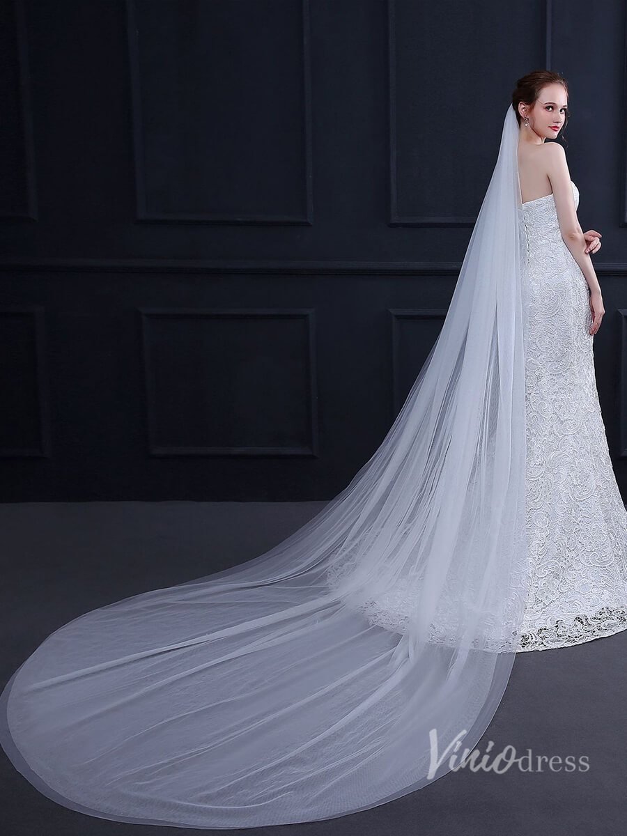 Simple 2 Tier Tulle Cathedral Veil Viniodress TS18015-Bridal Veil 2025 -Viniodress-Ivory-
