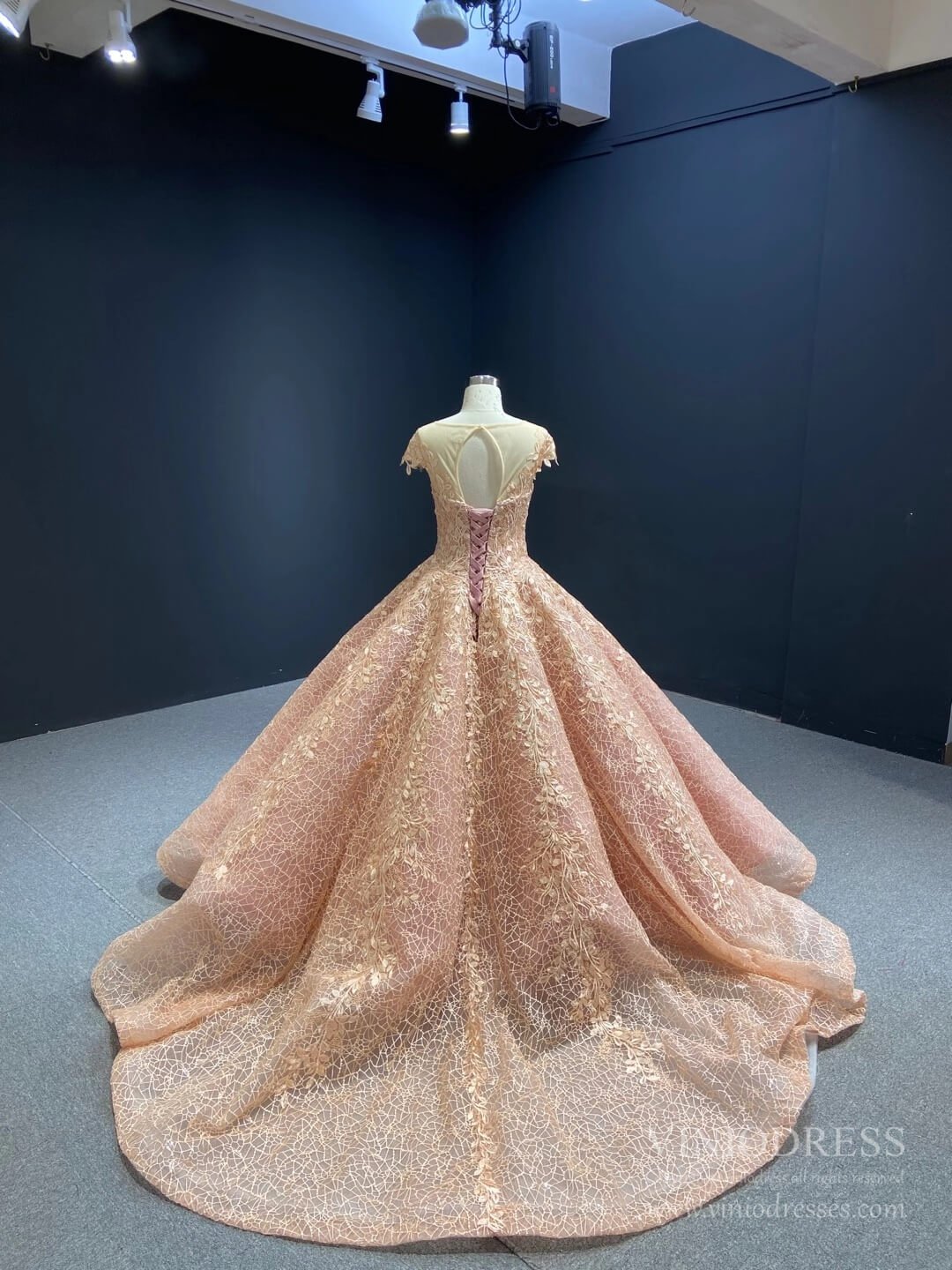 Sparkly Blush Pink Lace Sweet 16 Dress Quinceanera Dress 66601 Cap Sleeves-Quinceanera Dresses 2025 -Viniodress-Blush Pink-Custom Size-