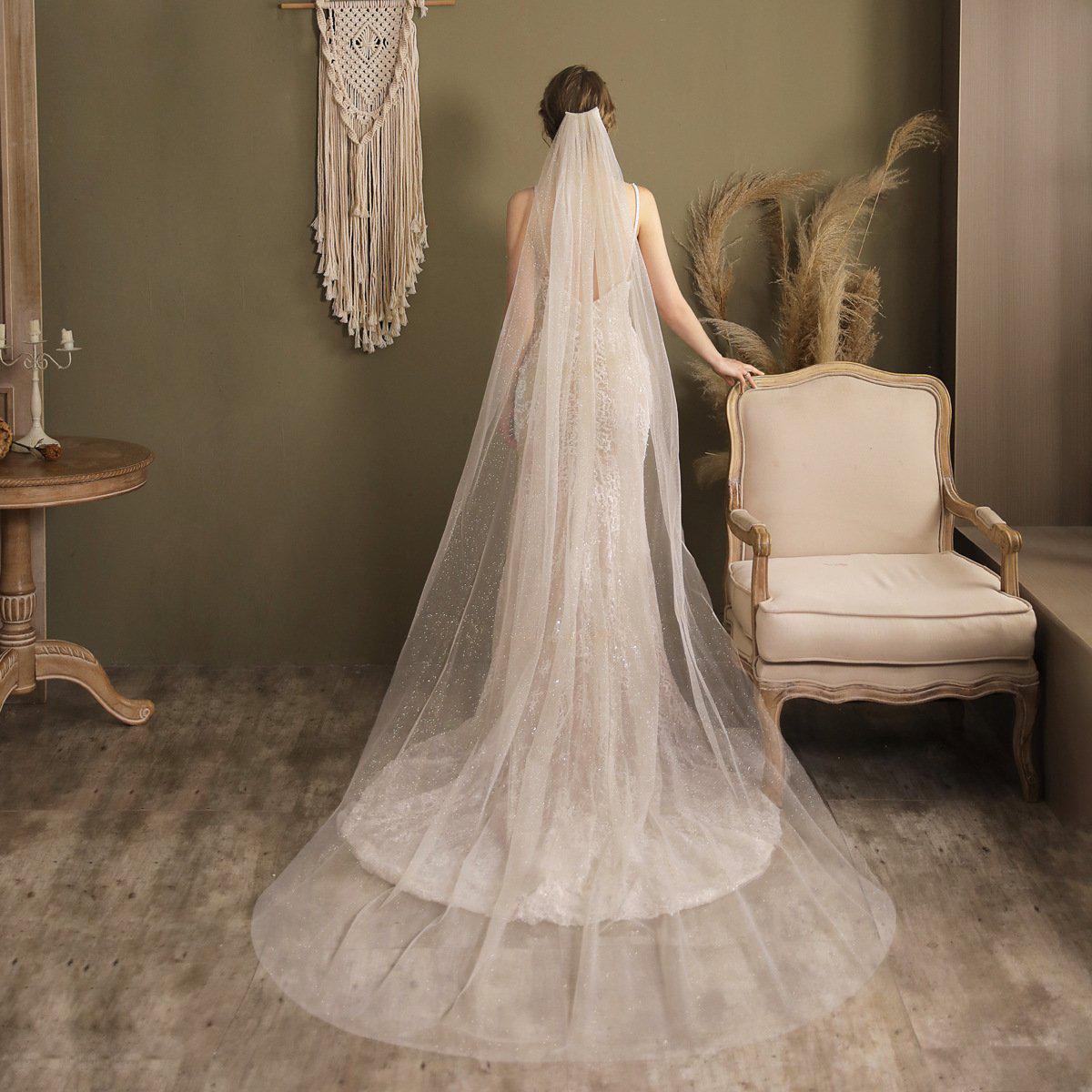Sparkly Tulle Bridal Veil Cathedral Length-Bridal Veil 2025 -Viniodress-Ivory-
