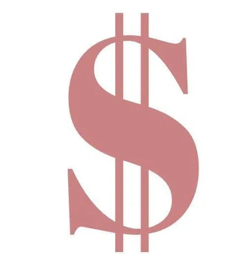 Surcharge for shipping & custom order- 2025 -Viniodress-$50-