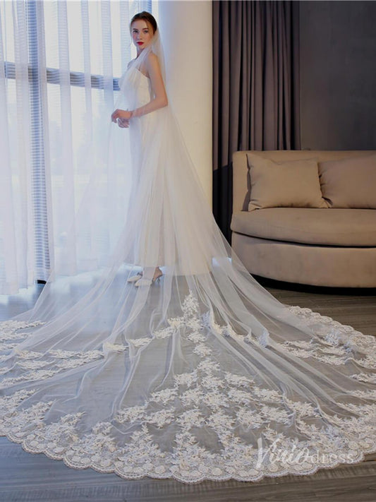 Vinatage Lace Appliqued Cathedral Veil Viniodress TS17153-Bridal Veil 2025 -Viniodress-Ivory-