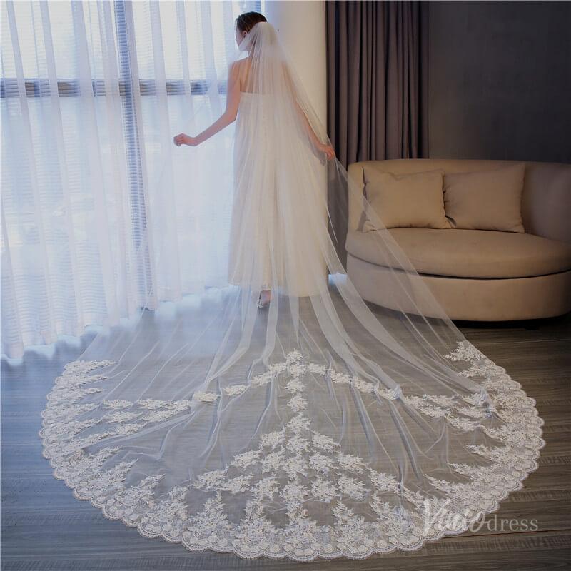 Vinatage Lace Appliqued Cathedral Veil Viniodress TS17153-Bridal Veil 2025 -Viniodress-Ivory-