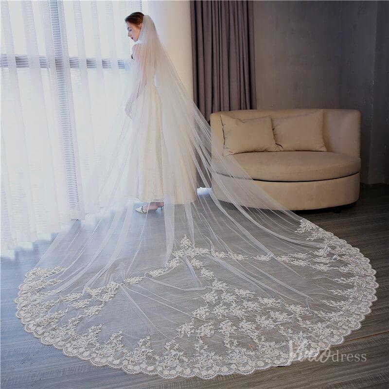 Vinatage Lace Appliqued Cathedral Veil Viniodress TS17153-Bridal Veil 2025 -Viniodress-Ivory-