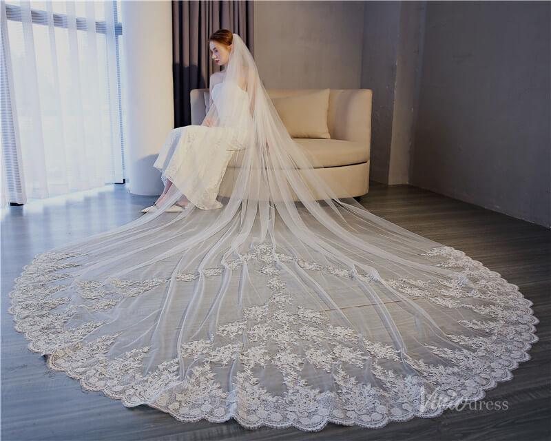 Vinatage Lace Appliqued Cathedral Veil Viniodress TS17153-Bridal Veil 2025 -Viniodress-Ivory-
