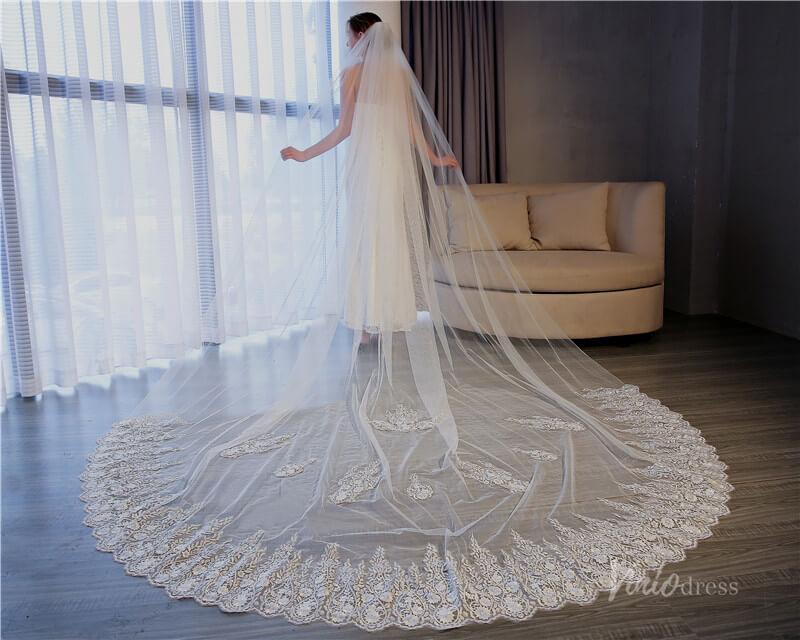 Vinatage Lace Cathedral Veil Viniodress TS17155-Bridal Veil 2025 -Viniodress-Ivory-