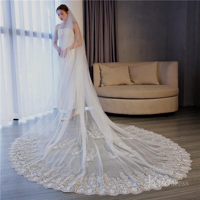 Vinatage Lace Cathedral Veil Viniodress TS17155-Bridal Veil 2025 -Viniodress-Ivory-