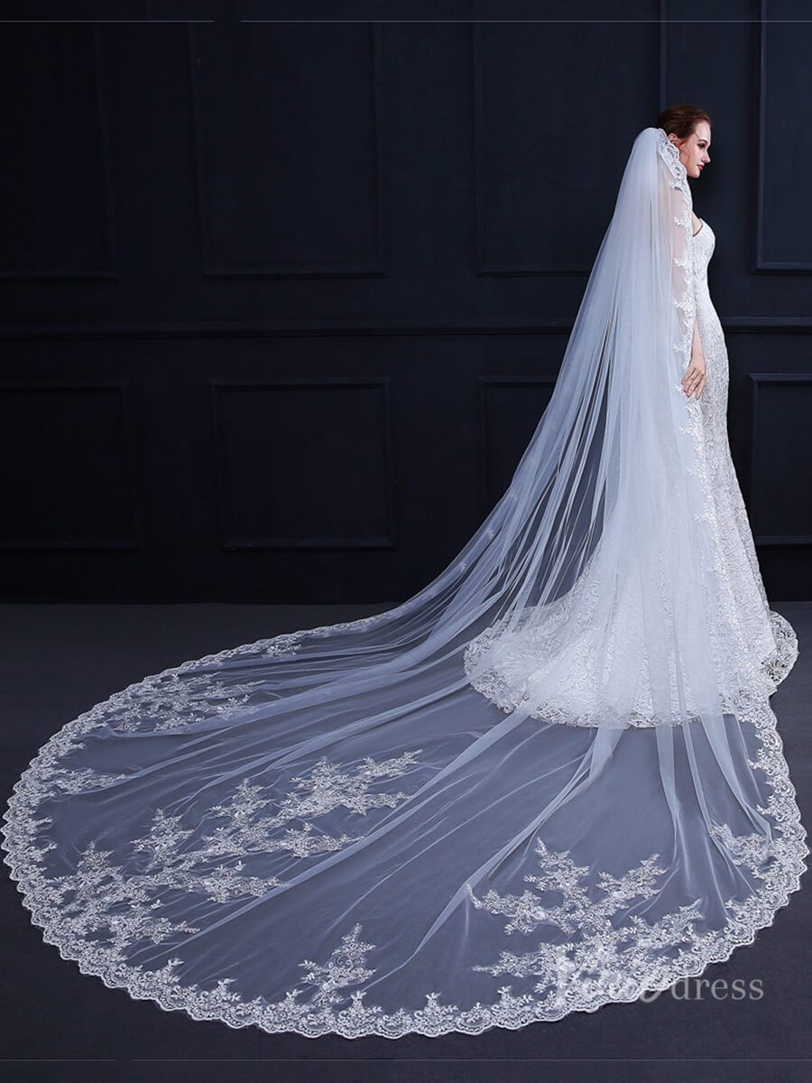 Cathedral Length Lace Mantilla Veil Viniodress TS18009-Veils-Viniodress-Ivory-Viniodress