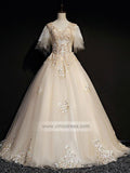 Champagne Lace Sweet 15 Dresses with Sleeves FD1458
