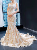 Emboridery Lace Mermaid Champagne Wedding Dresses with Train VW1377