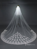 Lace Cathedral Veil with Blusher Viniodress TS17102