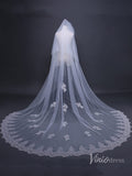 Lace Cathedral Veil with Blusher Viniodress TS17109