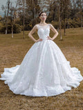 Modest Cathedral Lace Wedding Dresses Ball Gown VW1188