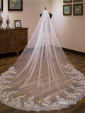 Sparkly Lace Appliqued 1 Tier Tulle Cathedral Veil Viniodress