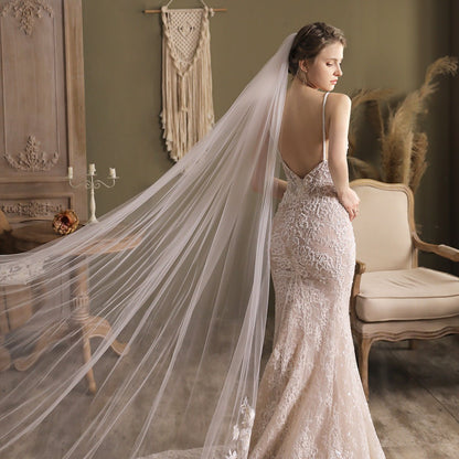 Cathedral Length Bridal Veil Lace Appliqued-Accessories 2025 -Viniodress-Ivory-