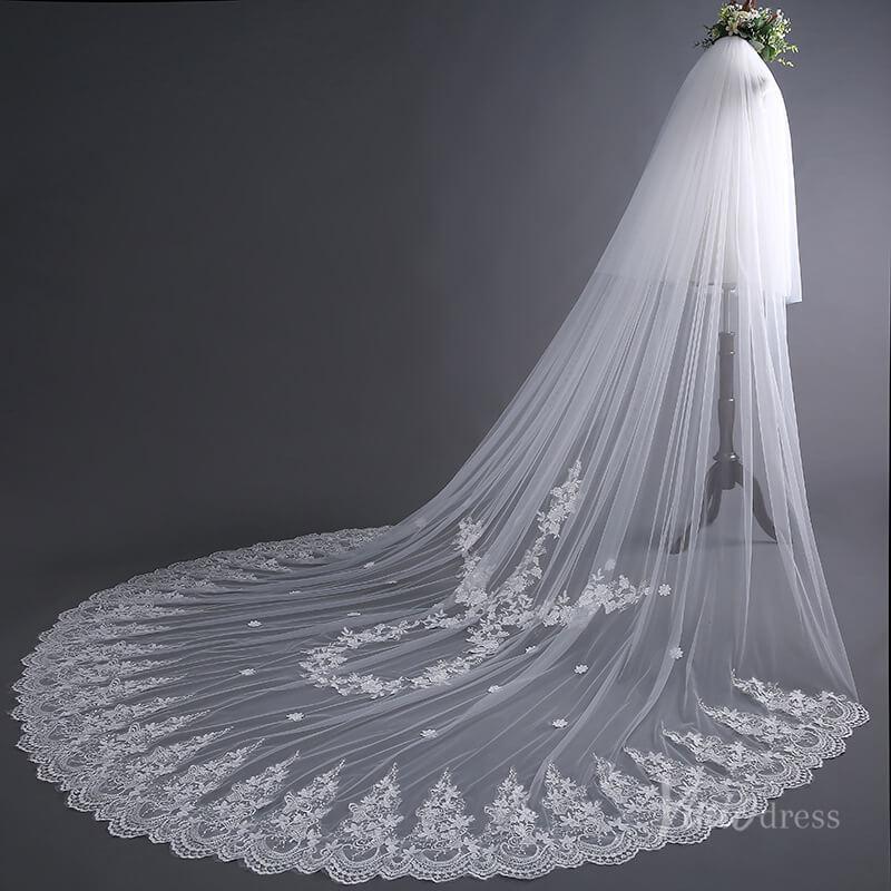 Lace Appliqued Cathedral Veil with Blusher Viniodress TS17135-Bridal Veil 2025 -Viniodress-Ivory-