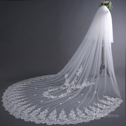 Lace Appliqued Cathedral Veil with Blusher Viniodress TS17135-Bridal Veil 2025 -Viniodress-Ivory-