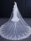 One Tier Lacy Extra Long Veil Viniodress TS18010-Veils-Viniodress-Viniodress