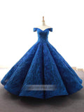 Royal Blue Ball Gown Prom Dresses Lace Quinceanera Dress VW1013 viniodress